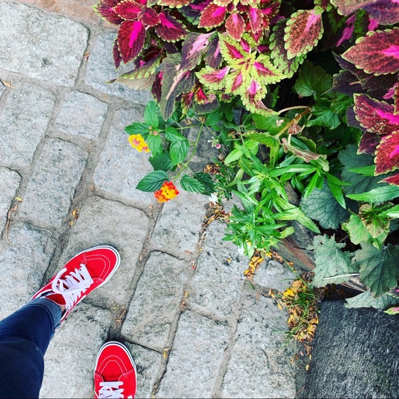 Welcome to my closet 🌸 - Picture 5 of 8